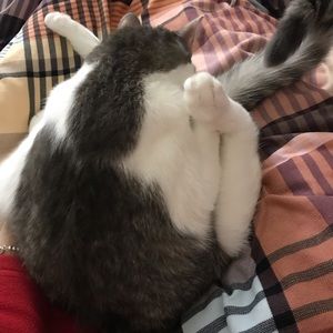 Meet your Posher, Mia